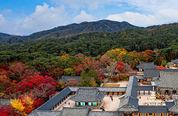 성수동