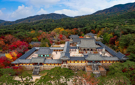 DMZ SIC TOUR